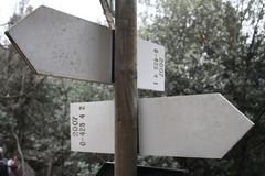 O425-ldp004-00-180114-td-82