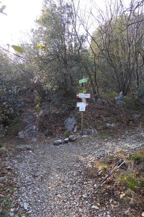 O425-ldp004-00-p3-160226-IC