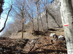 O425-ldp004-01-p1-160318-MP