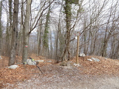 O425-ldp004-01-p2-160313-IC