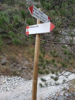 O426-ldp004-00-d1-161219-MT