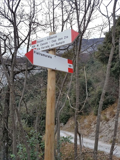 O426-ldp006-00-d1-161219-MT