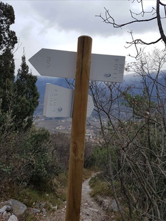 O426-ldp006-00-d2-161219-MT