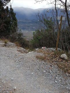 O426-ldp006-00-p1-161219-MT