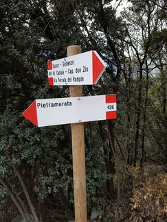 O426-ldp007-00-d1-161219-MT