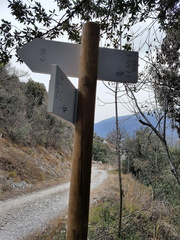 O426-ldp007-00-d2-161219-MT