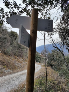 O426-ldp007-00-d2-161219-MT