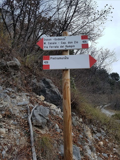 O426-ldp008-00-d1-161219-MT