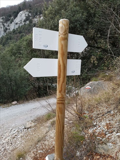 O426-ldp008-00-d2-161219-MT