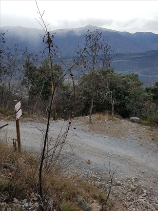 O426-ldp008-00-p1-161219-MT (2 visite) O426-ldp008-00-p1-161219-MT