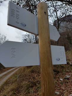 O426-ldp009-00-d2-161219-MT