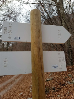 O426-ldp010-00-d2-161219-MT