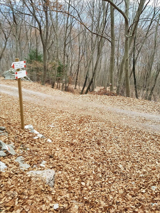 O426-ldp010-00-p1-161219-MT (2 visite) O426-ldp010-00-p1-161219-MT