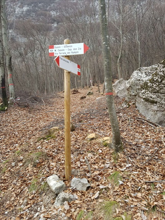 O426-ldp012-00-d1-161219-MT (4 visite) O426-ldp012-00-d1-161219-MT