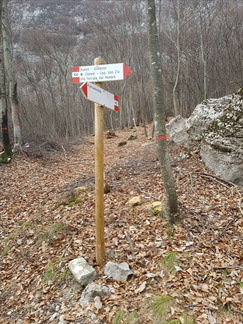 O426-ldp012-00-d1-161219-MT