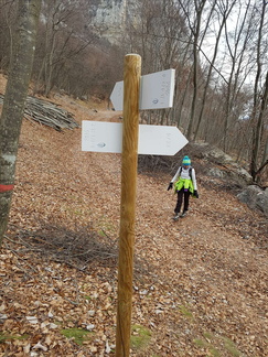 O426-ldp012-00-d2-161219-MT