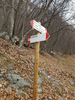 O426-ldp013-00-d1-161219-MT