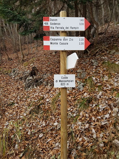 O426-ldp014-00-d1-161219-MT