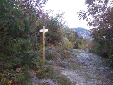 O427-ldp03-00-p1-171013-MCF-074028