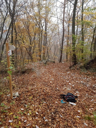 O427-ldp007-00-p01-171112-PR (3 visite) O427-ldp007-00-p01-171112-PR