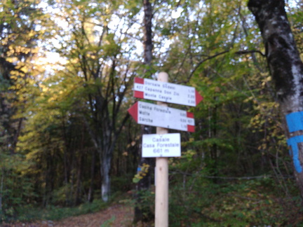 O427-ldp008-04-d1-171013-MCF-083144