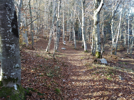 O427-ldp011-00-p2-171013-MCF-093727