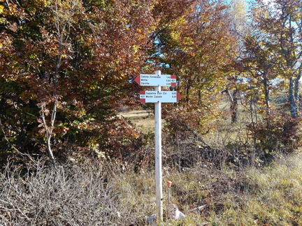 O427-ldp014-00-d1-171013-MCF-101158