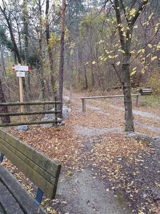 O427B-ldp001-00-p01-171112-PR