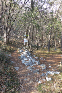 O428-ldp006-00-p1-160226-IC