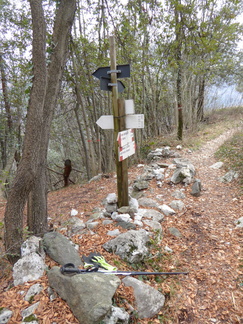 O428-ldp006-00-p2-160307-IC