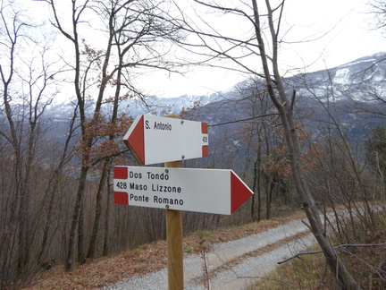 O428-ldp007-00-d0-160307-IC