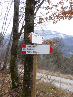 O428-ldp008-00-d4-160307-IC