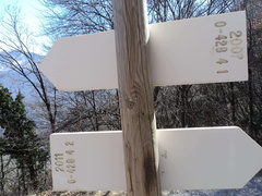 O428-ldp010-00-d2-160318-MP