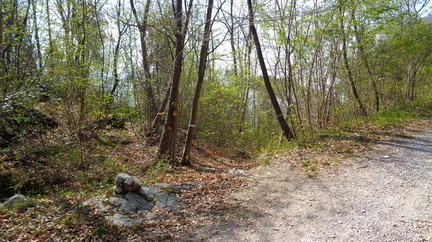 O428B-003-00-p01-220421-ED