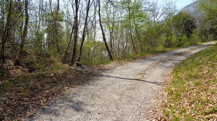 O428B-003-00-p02-220421-ED