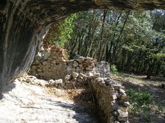 O428B-060420-LB-1257