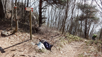 O429A-ldp002-00-p01-160329-ED