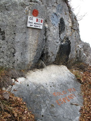 O430A-111113-lb5