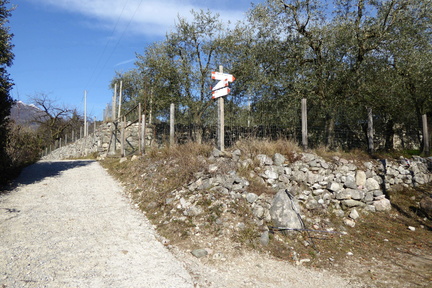 O431-ldp003-00-p01-160221