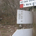 O431-ldp004-00-d3-161226-FB-0773 (7 visite) O431-ldp004-00-d3-161226-FB-0773