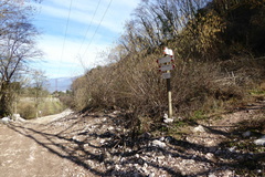 O431-ldp004-00-p2-160221-IC