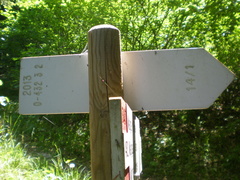 O432-ldp003-00-d3-170721-EDI-P1010246