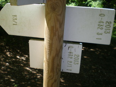 O432-ldp003-00-d4-170721-EDI-P1010247