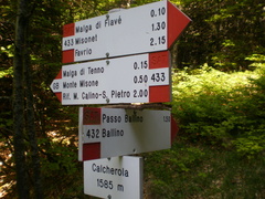 O433-ldp008-00-d1-170721-EDI-P1010220