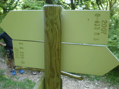 O433-ldp008-00-d4-170721-EDI-P1010221