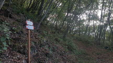 O434-ldp026-00-p02-210930-DM