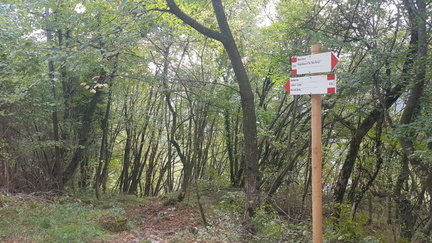 O434-ldp027-00-p01-210930-DM