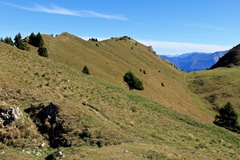 O435-BoccaSaval-161004-td-5720