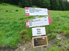 O436-ldp001-00-d01-02062024-td