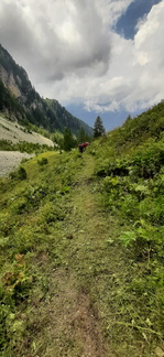 O436-20230729-150411